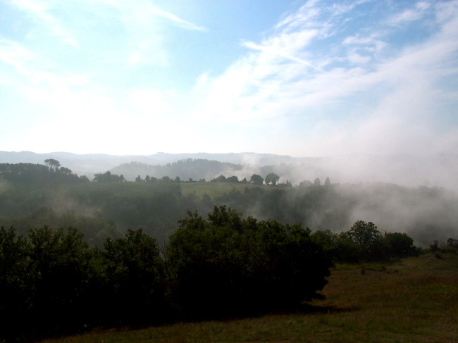 Tuscan fog