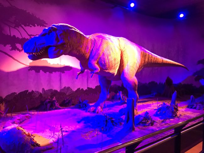 London Museum of Natural History Dinosaurs