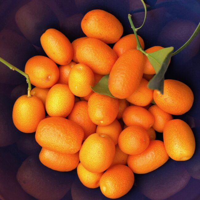 kumquats up close