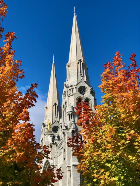 sugar maple trees in front of cathedral