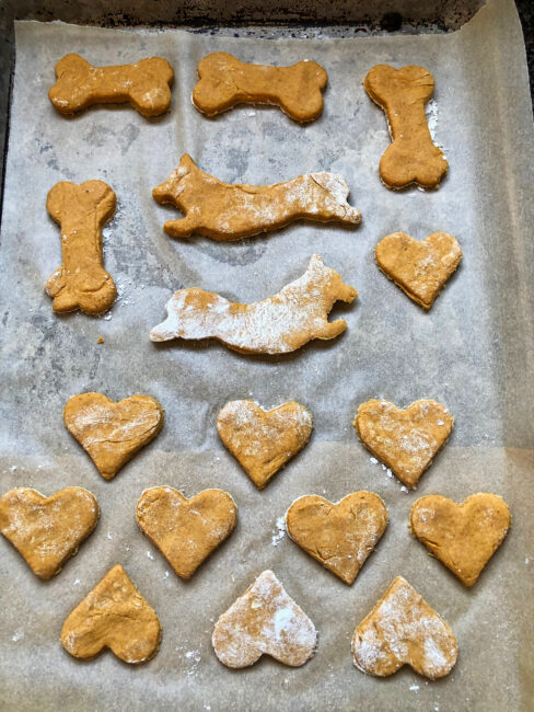  Peanut Butter & Pumpkin Dog Biscuit Shapes