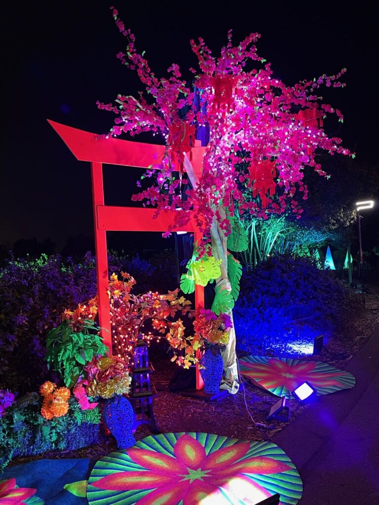 Lightscape Los Angeles County Arboretum & Botanical Garden